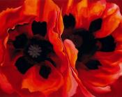 乔治亚 奥基夫 : Oriental Poppies